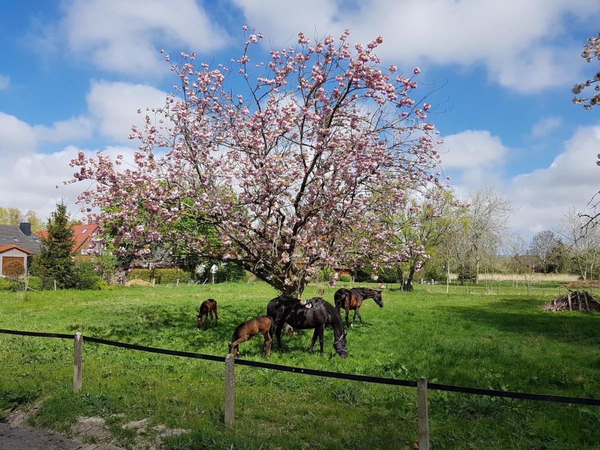 Harle-Casa.Ostfriesland Villa Altfunnixsiel Dış mekan fotoğraf
